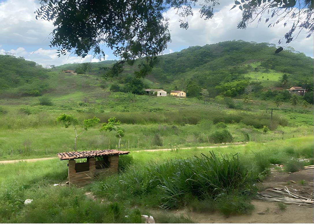 Fotografia de uma paisagem rural com áreas de vegetação nativa parcialmente desmatadas. Em primeiro plano, há uma pequena construção de madeira coberta com telhas e vegetação rasteira ao redor. Ao fundo, vê-se um caminho de terra, áreas de vegetação esparsa e algumas casas isoladas próximas a encostas verdes. O cenário mostra sinais de intervenção humana para moradia e possível plantação, caracterizando o desmatamento da vegetação nativa para uso do solo. Céu parcialmente nublado com algumas árvores no topo da imagem.​