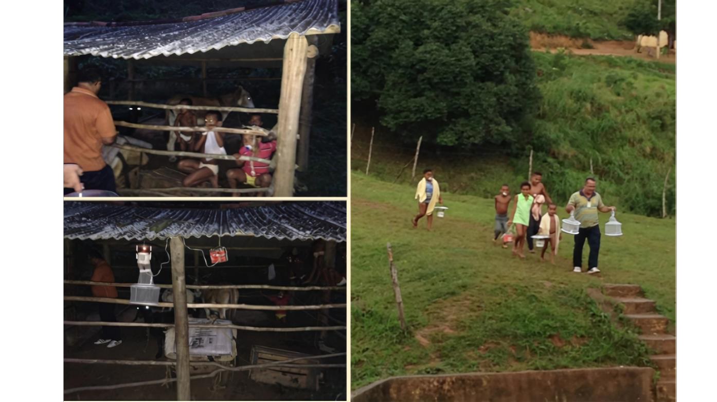 Imagem composta por três fotos. À esquerda, no alto: estrutura rústica coberta com telha de zinco e cercada por madeira, onde um homem e algumas crianças observam o interior, iluminado por uma armadilha de captura de insetos. Abaixo: mesma estrutura vista à noite, com armadilhas penduradas e animais no interior. À direita: grupo de moradores, incluindo crianças e um homem adulto, descendo um gramado com armadilhas de captura e baldes nas mãos, após recolherem os equipamentos no campo.​